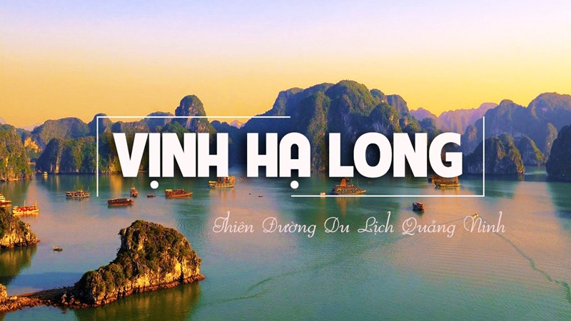 Tour du lịch Hạ Long 3 ngày 2 đêm trọn gói 2024